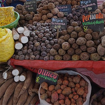 urubamba market - cusco